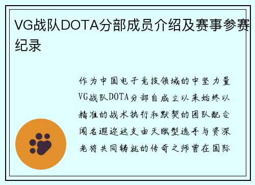 VG战队DOTA分部成员介绍及赛事参赛纪录